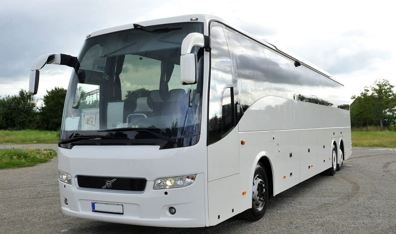 Lazio: Buses agency in Latina in Latina and Italy